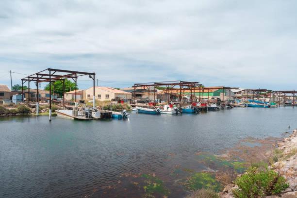 La Casa Tranquilia Chez Vero Et Jj Studio A Marseillan ภายนอก รูปภาพ